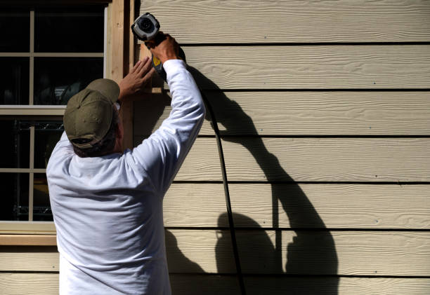 Best Siding Painting and Refinishing  in Fair Oaks, VA